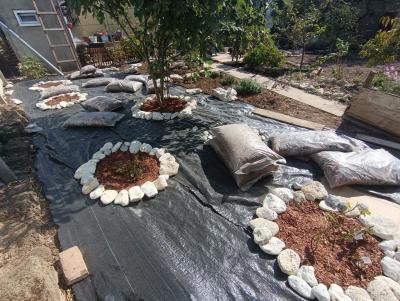 Прикрепленное изображение: Resizer_16965984103413.jpeg